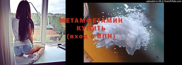 индика Балабаново