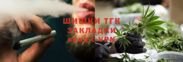 индика Балабаново