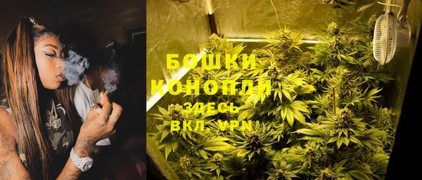 индика Балабаново