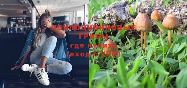 индика Балабаново