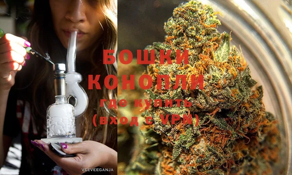 индика Балабаново