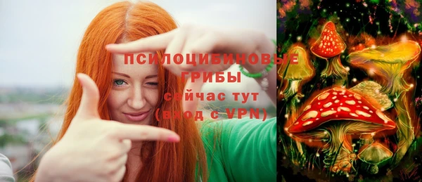 гидропоника Балахна