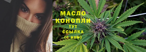 индика Балабаново